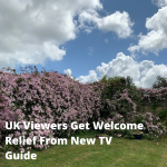 UK Viewers Get Welcome Relief From New TV Guide